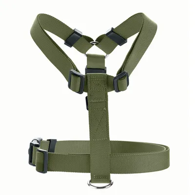 Green adjustable dog harness made of durable nylon with metal ring and plastic buckles.