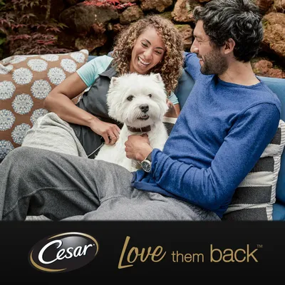 Cesar brand with slogan 'Love them back' shown below people sitting with a white dog on a sofa outdoors.