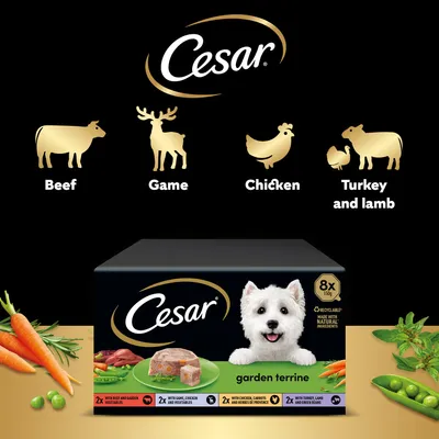 Cesar Garden Terrine Trays Mixed Pack in Loaf Cesar Garden Terrine Trays Mixed Pack in Loaf