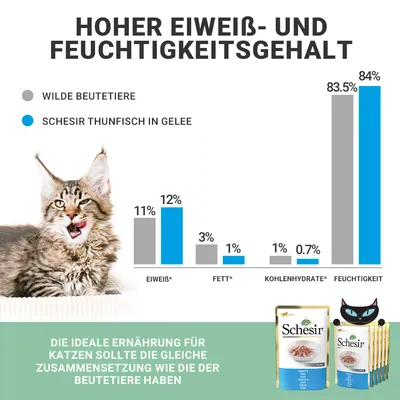 Diagramm zeigt Vergleich von Eiweiss- und Feuchtigkeitsgehalt: Schesir Thunfisch in Gelee mit höherem Wert als wilde Beutetiere. Ideale Katzenernährung ähnelt Zusammensetzung der Beutetiere.