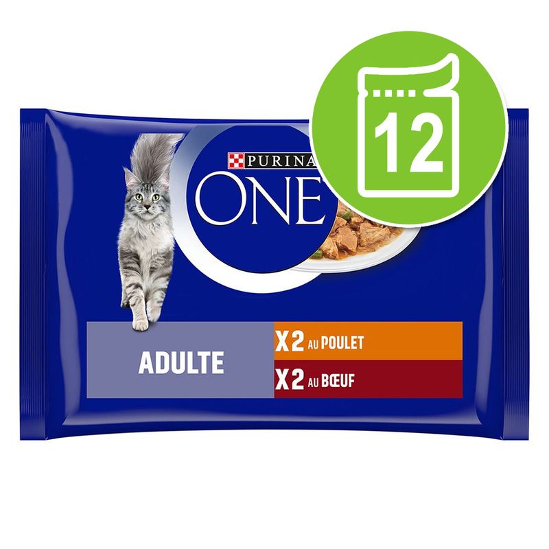 Lot PURINA ONE 12 x 85 g pour chat