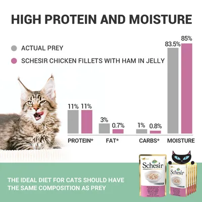 Értékelési skála 4 kritériummal: fehérje 11%, zsír 3% vs. 0,7%, szénhidrát 1% vs. 0,8%, nedvesség 83,5% vs. 85%. Schesir Chicken Fillets with Ham in Jelly csomagolás látható.