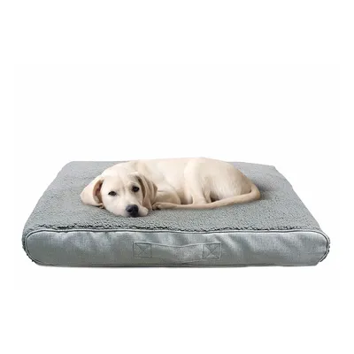Hund ligger på en grå rektangulär hundbädd med mjuk yta och bärhandtag på sidan.
