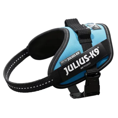 Pettorina per cani Julius-K9 IDC Power, colore azzurro con scritta visibile 'JULIUS-K9 IDC by JULIUS-K9 IDC POWER', fibbia in plastica e dettagli rifrangenti.