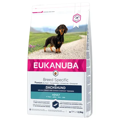 Eukanuba Breed Specific hrană uscată premium pentru Dachshund, adult de la 1 an, 2,5 kg. Conține glucozamină și condroitină pentru articulații sănătoase.