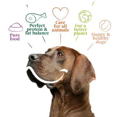 Image shows benefits: pure food, perfect protein and fat balance, care for all animals, for a better planet, happy and healthy dogs.