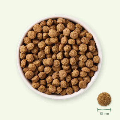Bowl with brown dry food kibbles, single kibble shown with a diameter of 10 mm.