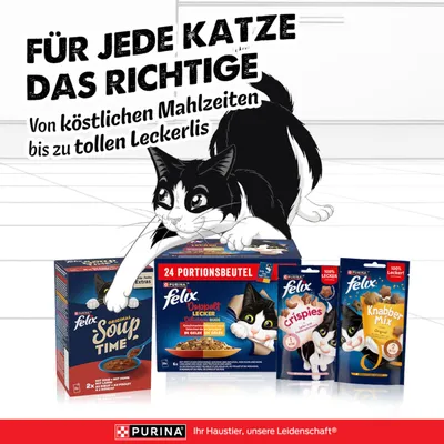 Jumbopack Felix "So gut wie es aussieht" Gelee 120 x 85 g - Doppelt lecker (Rind & Geflügel, Truthahn & Leber, Huhn & Niere, Ente & Lamm) Jumbopack Felix "So gut wie es aussieht" Gelee 120 x 85 g - Doppelt lecker (Rind & Geflügel, Truthahn & Leber, Huhn & Niere, Ente & Lamm)