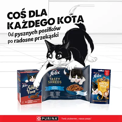 Felix karma i przekąski dla kotów. Dla każdego podniebienia: od pysznych posiłków po radosne przekąski. Informacja o marce PURINA poniżej.