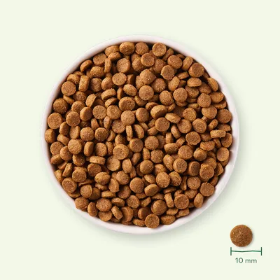 Ronde brokjes hondenvoer in een witte kom, afzonderlijk getoonde brok met maatindicatie: diameter 10 mm.