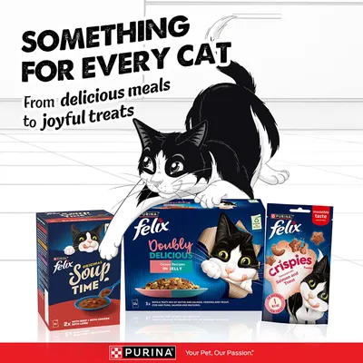 Felix macskaeledel és snackek: Soup Time marhával, Doubly Delicious tengeri receptek zselében, Crispies lazaccal és pisztránggal. Purina, minden macskának az étkezésektől a jutalomfalatokig.