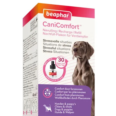 Beaphar CaniComfort refill for diffuser, provides comfort from pheromones for dogs and puppies in stressful situations. Effective up to 70m², lasts 30 days, 48ml bottle.