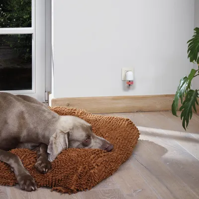 Dog lying on a brown mat near a wall-mounted plug-in diffuser, showing product in use within a home environment.
