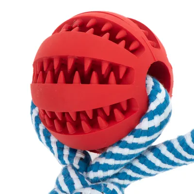 Piros gumilabda fogszerű bütykökkel, kék-fehér kötéllel összekötve. Játék háziállatoknak.