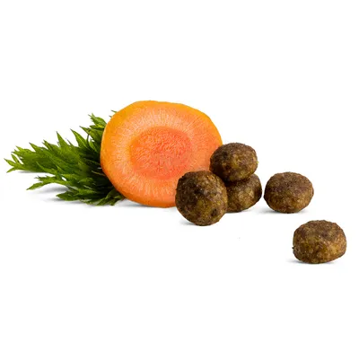 Croquettes rondes marron à côté d’une tranche de carotte avec fanes vertes, montrant les ingrédients visibles du produit.