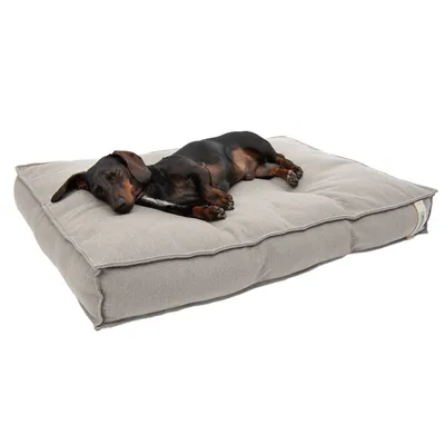 Hund liegt entspannt auf einem grauen, gepolsterten Hundebett. Bett mit rechteckiger Form und sichtbarer Stoffstruktur.