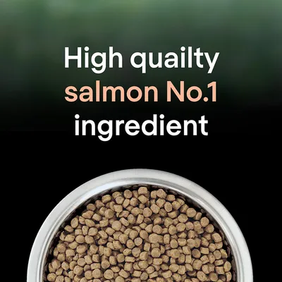 High quality salmon is the number one ingredient, shown above a bowl of dry pet food.