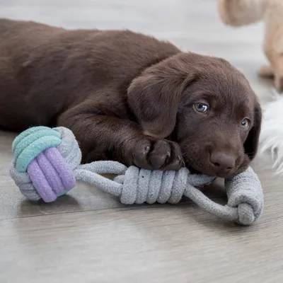 Chew toy made of braided rope in grey with purple and turquoise accents, lying on a wooden floor.