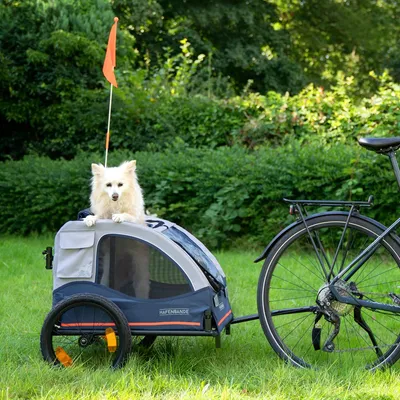 Przyczepka rowerowa Hafenbande z oknem z siatki i pomarańczową flagą bezpieczeństwa, przymocowana do roweru. Pies siedzi na przyczepce.