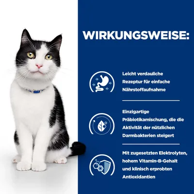Wirkungsweise: Leicht verdauliche Rezeptur für einfache Nährstoffaufnahme, einzigartige Präbiotikamischung zur Steigerung der Darmbakterienaktivität, zugesetzte Elektrolyte und Antioxidantien. Wirkungsweise: Leicht verdauliche Rezeptur für einfache Nährstoffaufnahme, einzigartige Präbiotikamischung zur Steigerung der Darmbakterienaktivität, zugesetzte Elektrolyte und Antioxidantien.
