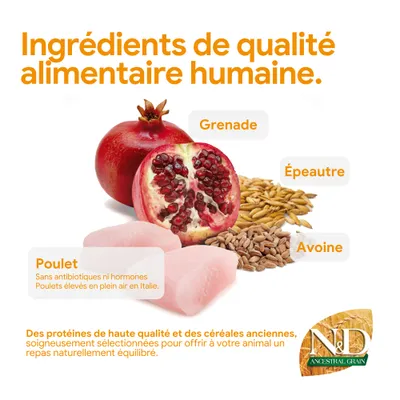 Ingrédients : grenade, poulet sans antibiotiques ni hormones, épeautre, avoine. Protéines de haute qualité et anciennes variétés de céréales pour une alimentation équilibrée des animaux. N&D Ancestral Grain. Ingrédients : grenade, poulet sans antibiotiques ni hormones, épeautre, avoine. Protéines de haute qualité et anciennes variétés de céréales pour une alimentation équilibrée des animaux. N&D Ancestral Grain.