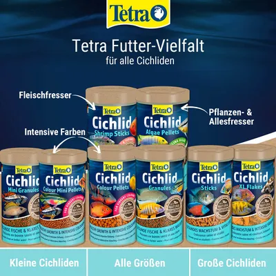 Tetra Futter-Vielfalt für alle Cichliden: Fleischfresser, Pflanzen- & Allesfresser. Produkte: Shrimp Sticks, Algae Pellets, Mini Granules, Colour Pellets, Granules, Sticks, XL Flakes. Tetra Futter-Vielfalt für alle Cichliden: Fleischfresser, Pflanzen- & Allesfresser. Produkte: Shrimp Sticks, Algae Pellets, Mini Granules, Colour Pellets, Granules, Sticks, XL Flakes.