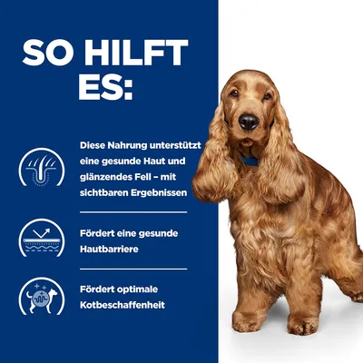 So hilft es: Diese Nahrung unterstützt gesunde Haut und glänzendes Fell, fördert eine gesunde Hautbarriere und optimale Kotbeschaffenheit. Hund abgebildet.