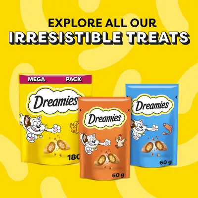 Dreamies Cat Treats - Catnip