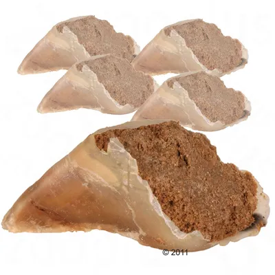 Filled cow hooves with brown filling, suitable as a chew snack. Five pieces visible.