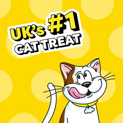 Dreamies Cat Treats - Chicken