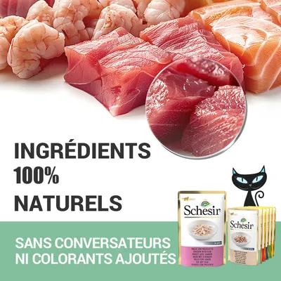 Ingrédients 100 % naturels. Sans conservateurs ni colorants ajoutés. Schesir. Sachets de nourriture pour chats visibles en bas à droite.