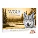 Calendrier de l'Avent Wolf of Wilderness pour chien