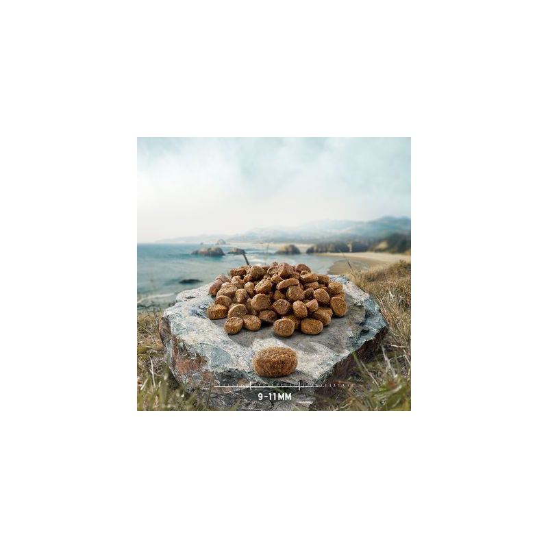 Purizon Original wild zwijn met kip - graanvrij