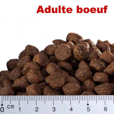 Croquettes avec texte visible « Adulte bœuf » et règle en centimètres montrant la taille des croquettes, de 0 à 6 cm.