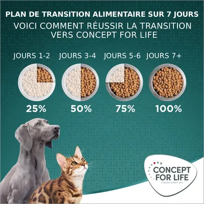 Concept for Life Large Senior pour chien