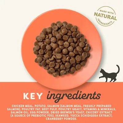 Pienso para gatos en plato naranja. Texto visible: 'KEY ingredients'. Ingredientes principales: harina de pollo, patata, salmón, grasa de ave, pulpa de remolacha, vitaminas y minerales.
