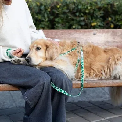 Harry Potter Slytherin harnas, groen