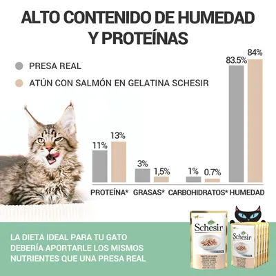 Comparativa de nutrientes: presa real vs atún con salmón en gelatina Schesir. Proteína 11%/13%, grasas 3%/1,5%, carbohidratos 1%/0,7%, humedad 83,5%/84%. Texto: dieta ideal para tu gato.