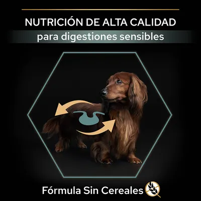 Nutrición de alta calidad para digestiones sensibles. Fórmula sin cereales. Imagen de perro con icono de estómago y flechas.