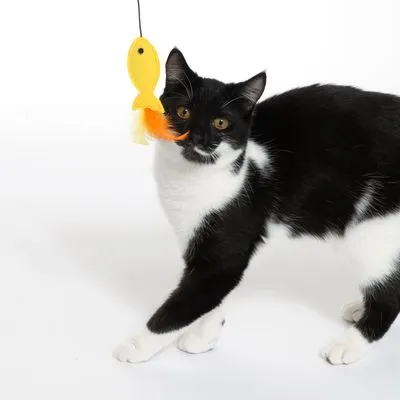 TIAKI висяща играчка с рибка за котки TIAKI висяща играчка с рибка за котки