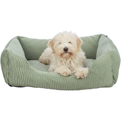 Hund liegt in einem grünen Hundebett mit geripptem Stoffdesign.