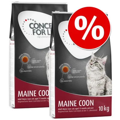 CONCEPT FOR LIFE Maine Coon 10kg cat food, visible text: Special Formula, Cardiac support and function, Cartilage and joint protection, Size-adapted kibble, red percent discount symbol