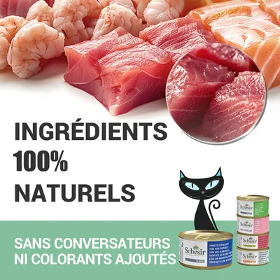Ingrédients 100 % naturels. Sans conservateurs ni colorants ajoutés. Schesir. Trois boîtes de pâtée pour chat visibles avec illustration de chat noir.