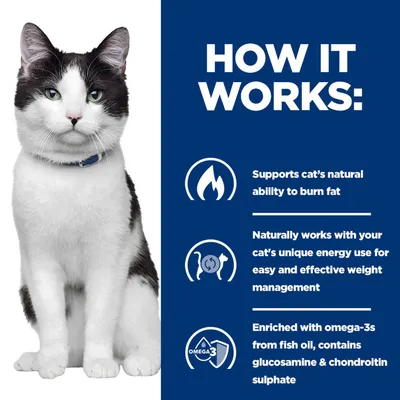 Explanation: Supports natural fat breakdown, promotes your cat's energy management, contains omega-3 from fish oil as well as glucosamine and chondroitin sulphate. Explanation: Supports natural fat breakdown, promotes your cat's energy management, contains omega-3 from fish oil as well as glucosamine and chondroitin sulphate.