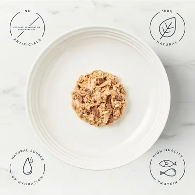 Encore Cat Tin 16 x 70g