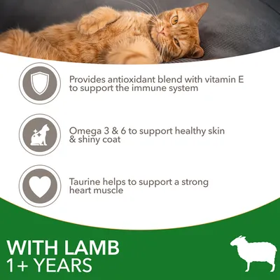 Provides antioxidant blend with vitamin E for immune system, omega 3 and 6 for healthy skin and coat, taurine for heart muscle. With lamb. For 1+ years.