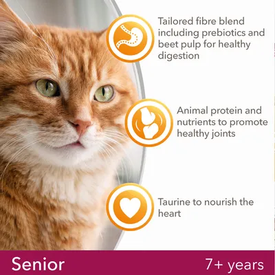 Senior, 7+ years. Tailored fibre blend including prebiotics and beet pulp for healthy digestion. Animal protein and nutrients to promote healthy joints. Taurine to nourish the heart.