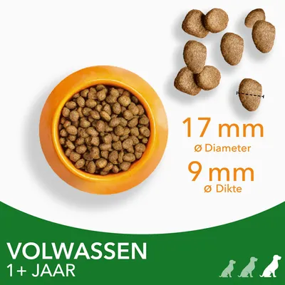 Hondenbrokken in oranje bak, brokjes met diameter 17 mm en dikte 9 mm. Tekst: VOLWASSEN 1+ JAAR.