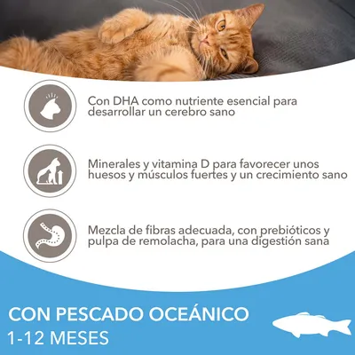 Con DHA para cerebro sano, minerales y vitamina D para huesos y músculos fuertes, mezcla de fibras con prebióticos y pulpa de remolacha. Con pescado oceánico 1–12 meses.