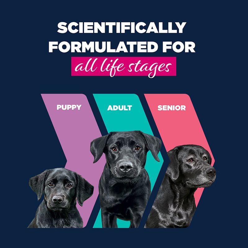 Eukanuba Puppy Rik på lam med poteter